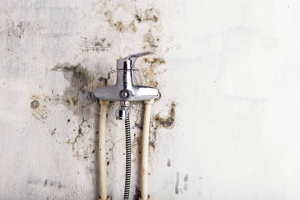 Best Water Damage Restoration  in Beaver Dam, WI