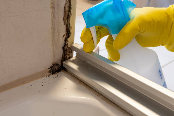 Best Residential Mold Removal  in Beaver Dam, WI