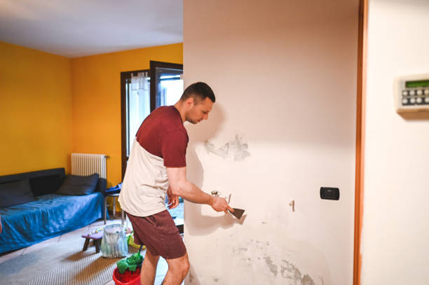 Mold Testing and Removal in Beaver Dam, WI